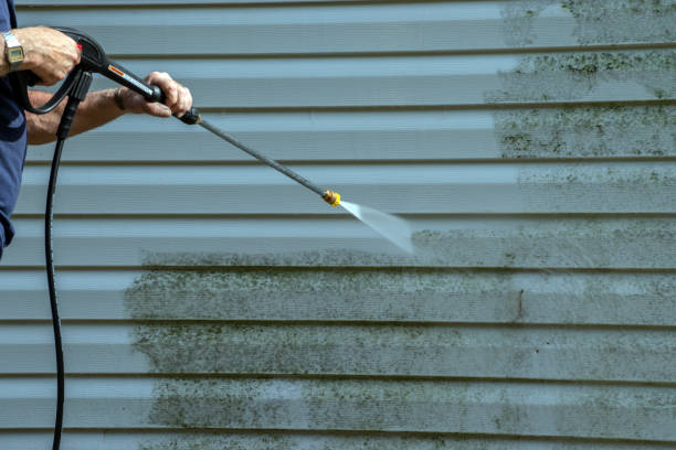 Best Roof Washing  in Little Ferry, NJ